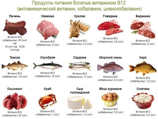 produkti-s-visokim-soderganiem-vitamina-b-12